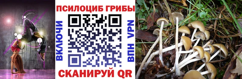 Псилоцибиновые грибы Psilocybine cubensis  blacksprut ССЫЛКА  Балаково 